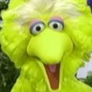 Meet your Posher, Ian